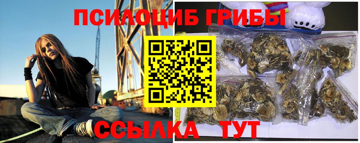 Россошь  Псилоцибиновые грибы Magic Shrooms  Вход с VPN 