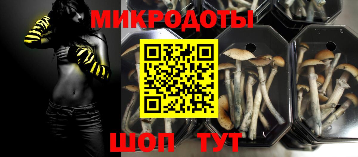 Псилоцибиновые грибы Cubensis Россошь